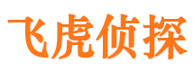 宁夏市婚姻调查